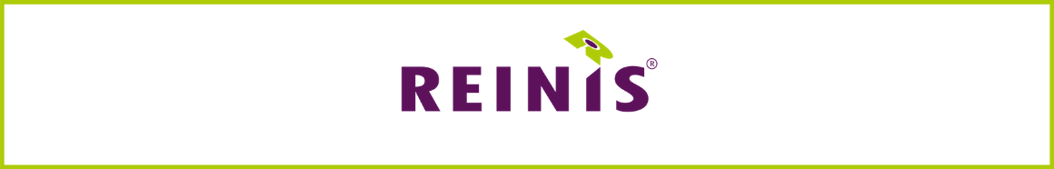 Reinis website header